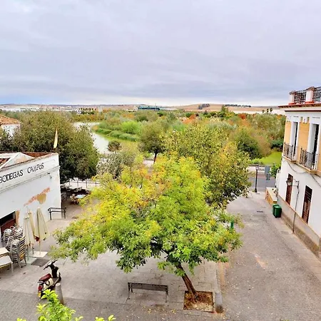 Paseo De La Ribera *